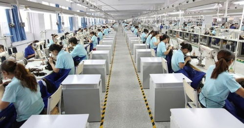 2022年河南電子商務運行呈穩定增長態勢，經營額達12122.45億元