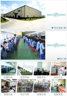 奧康恩的電子商務經營之道 創新、整合與可持續發展